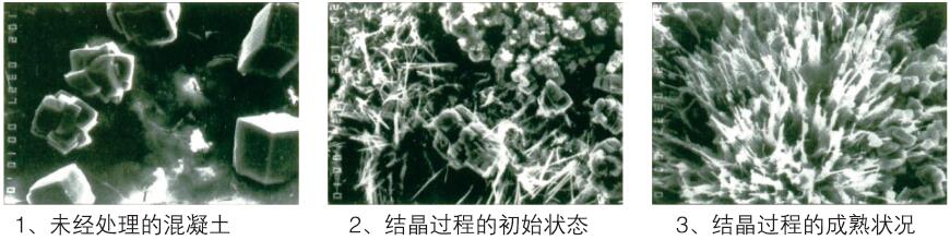 国科水干干